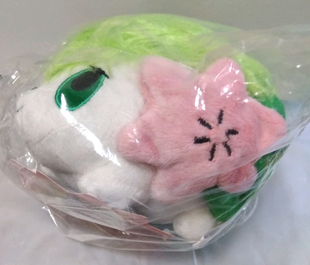 ポケモン　ぬいぐるみ　シェイミ　ランドフォルム　202307092118