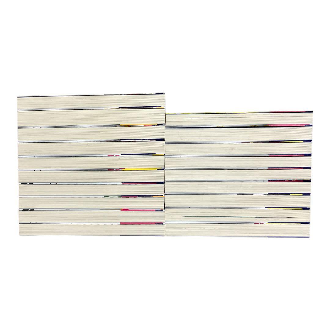 痛いのは嫌なので防御力に極振りしたいと思います。　1〜19巻　全巻セット　ラノベ