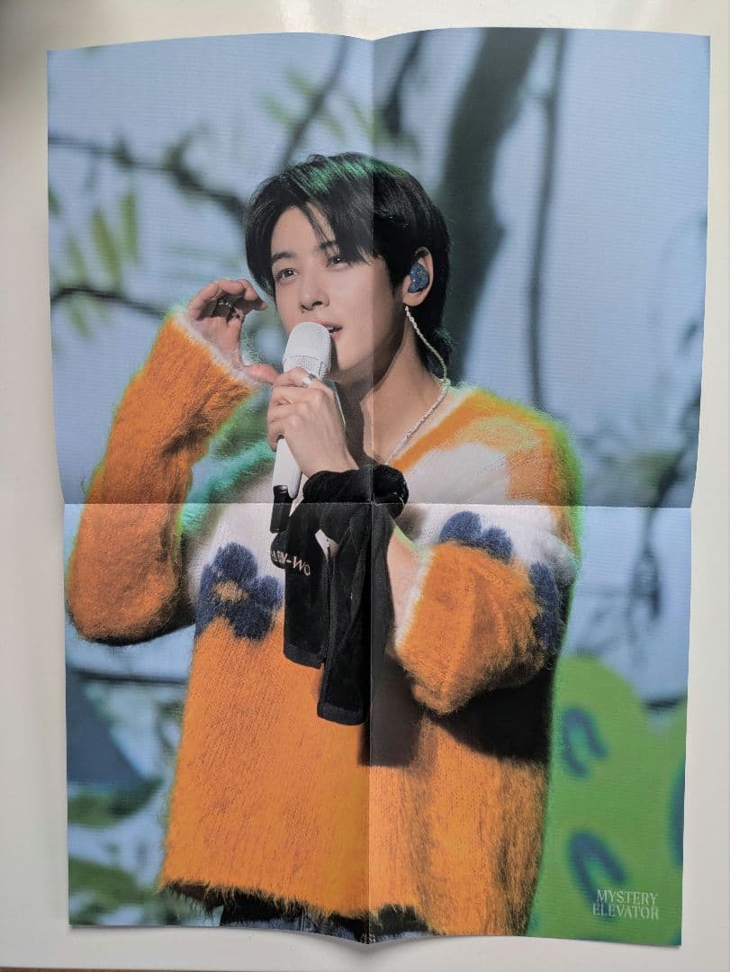 チャウヌ　MYSTERY ELEVATOR　DVD