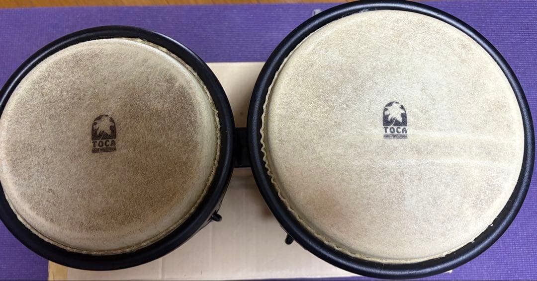 TOCA ボンゴ