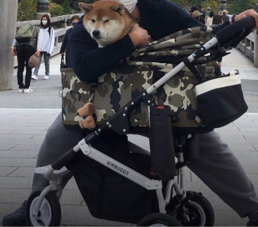 エアーバギー　DOME3ラージ 引き取りお値下げ可