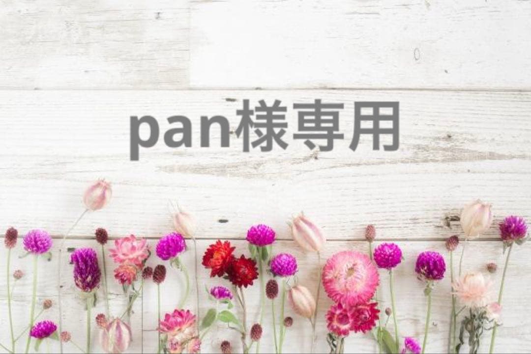 美容液 pan