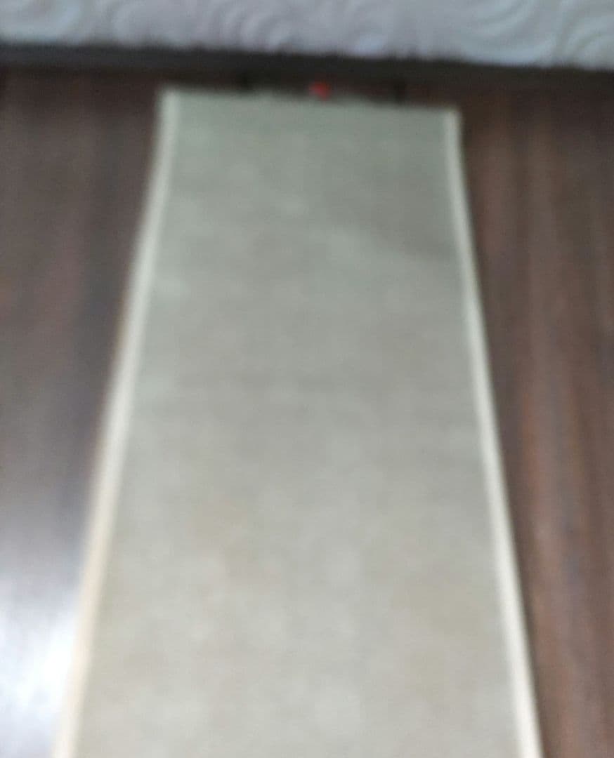 梅の図　山本梅荘掛軸　Y134