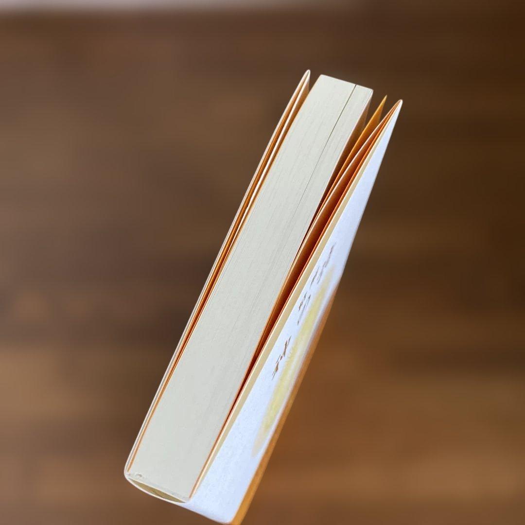 精解 神の詩 聖典バガヴァッド・ギーター 1 森井啓二