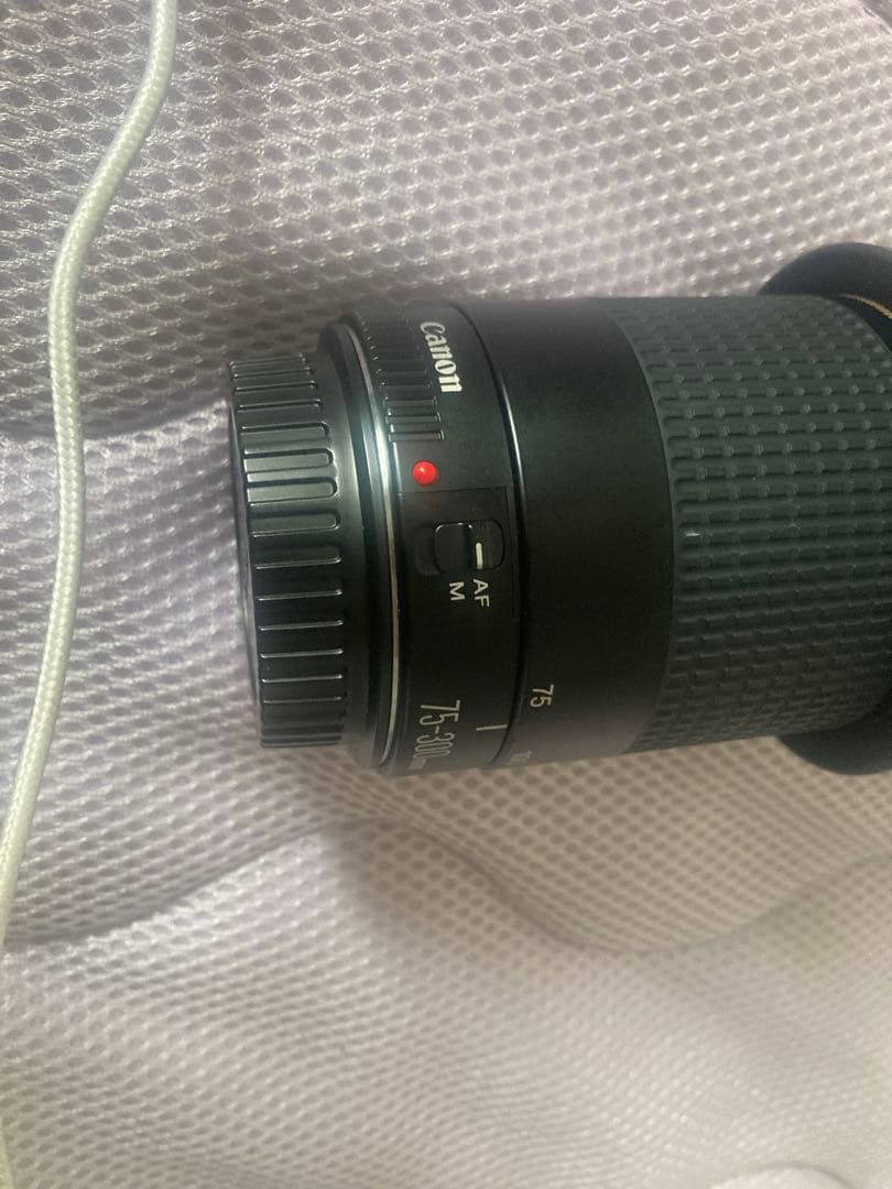 Canon EF 75-300mm ズームレンズ