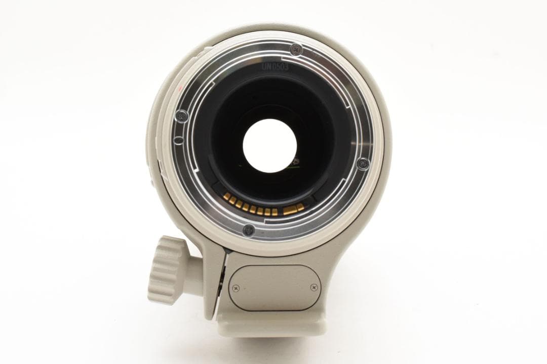 レンズ(ズーム) Canon EF 100-400mm F4.5-5.6 L IS USM