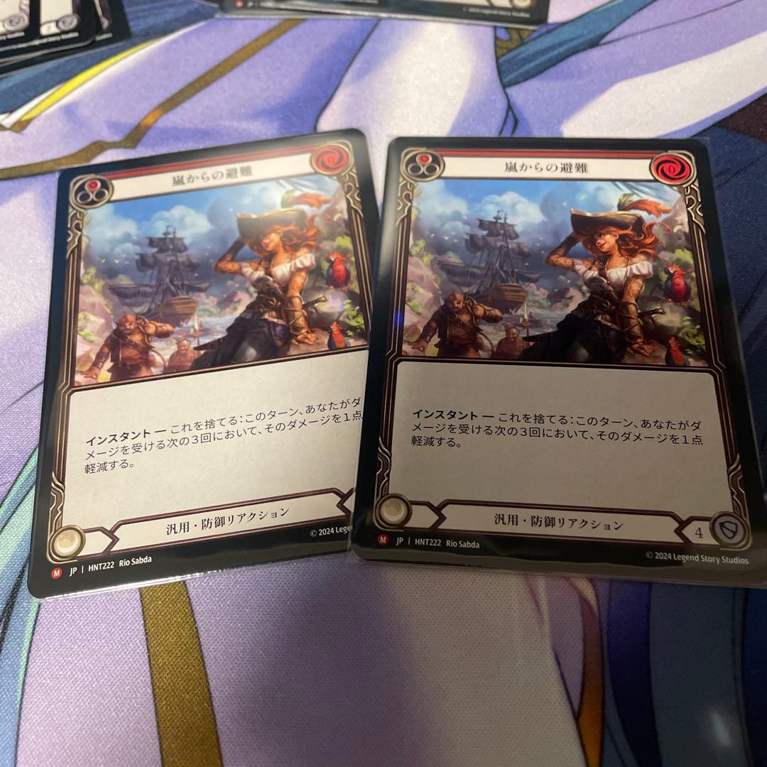 嵐からの避難 2枚 日語 flesh and blood