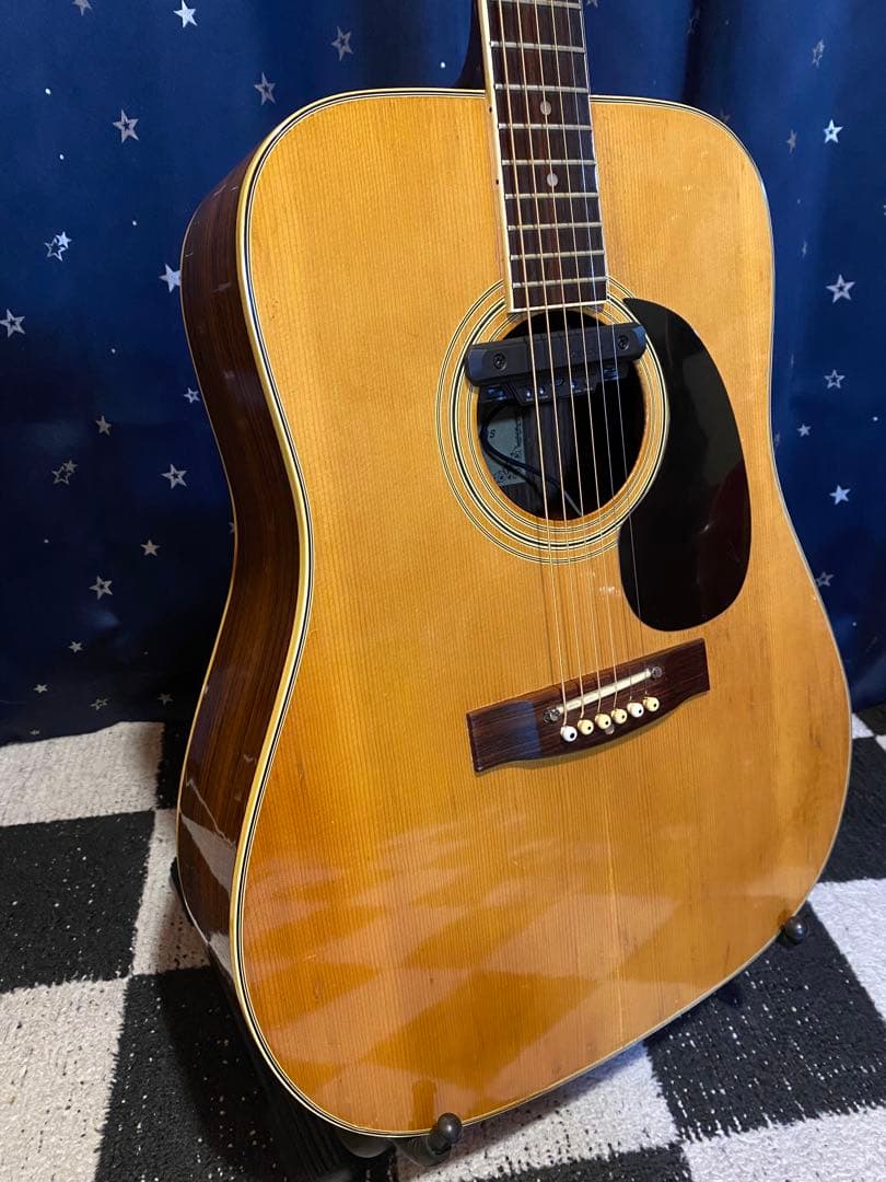 Greco F200 (エレアコ仕様)