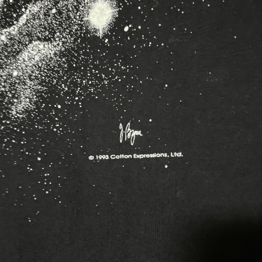 90s アインシュタイン Tシャツ ビンテージ 偉人 アート XL スーベニア