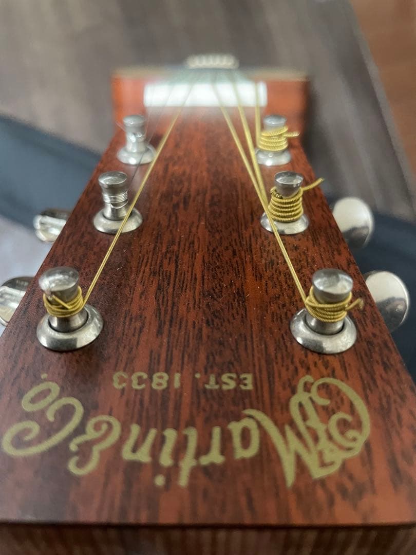 Martin & Co. アコースティックギター