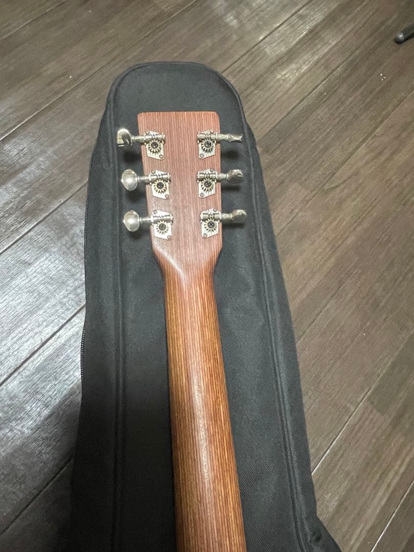 Martin & Co. アコースティックギター