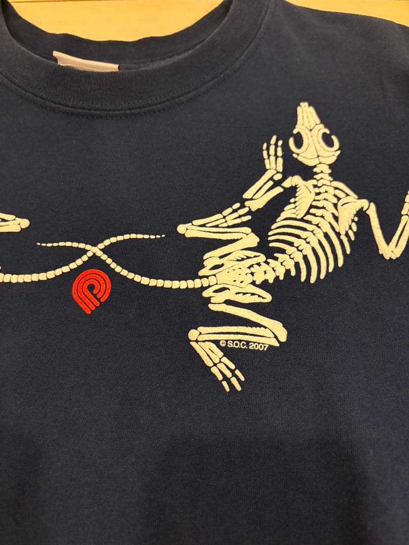 古着美品00sPOWELL PERALTA パウエル リザードボーン Tシャツ