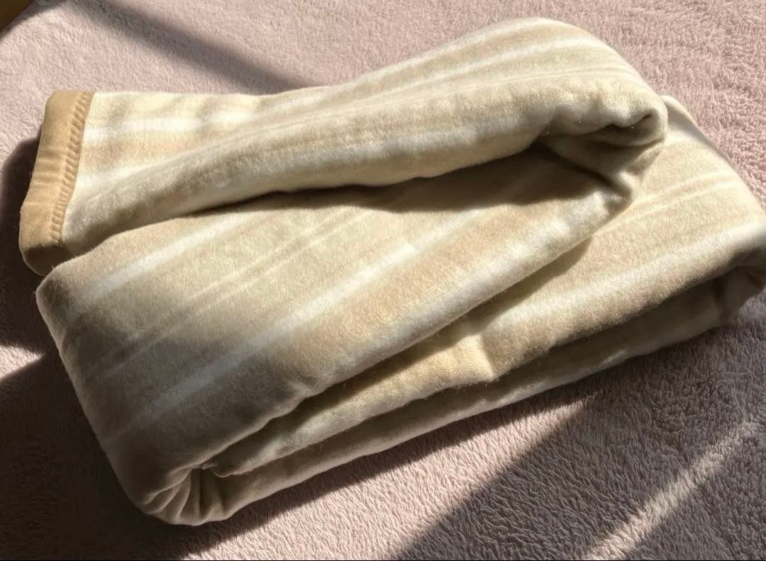 新品 Panasonic DB-R31M-C 電気かけしき毛布 シングル M