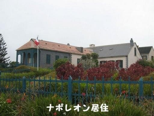 セントヘレナ島バンブーヘッジ農園　200g　コーヒー豆・粉