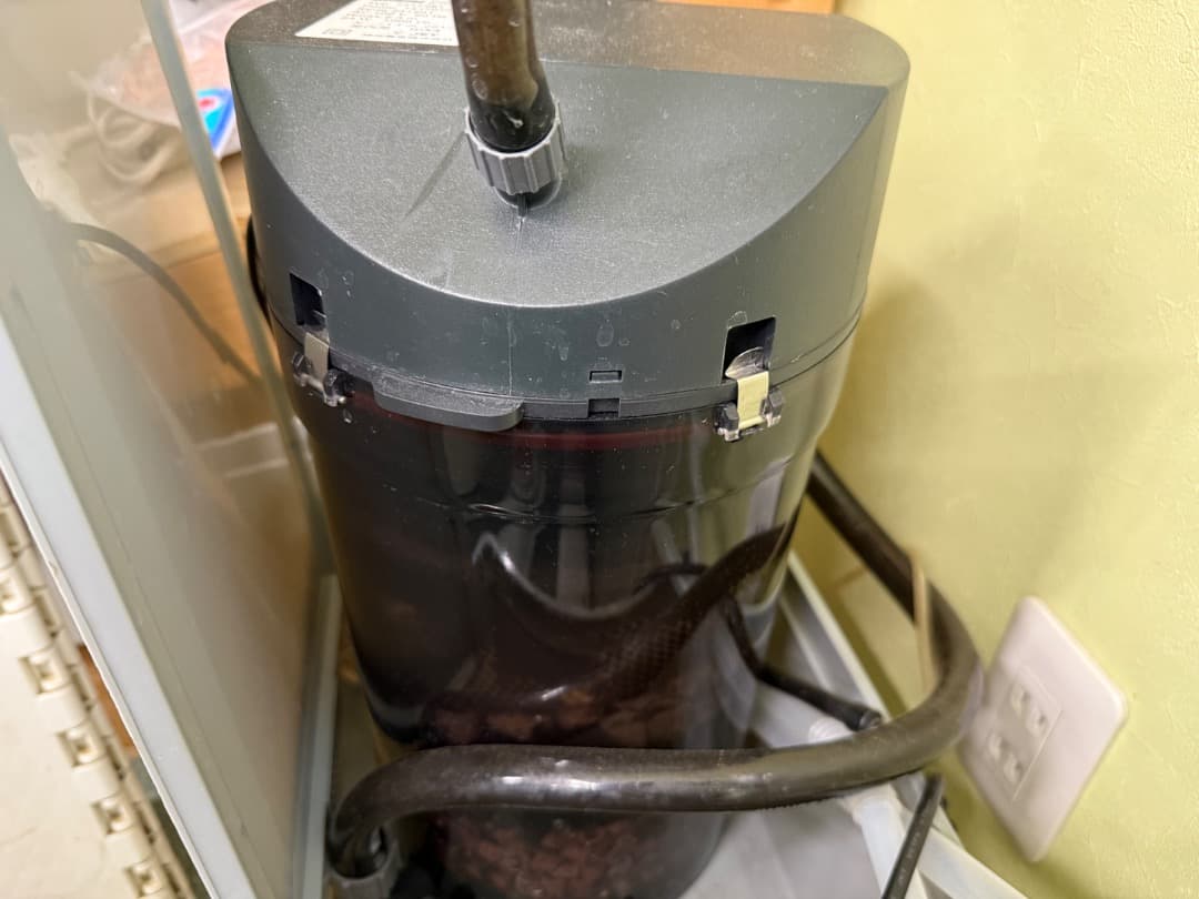 ほ*ち様 SDA水槽　EHEIMセット