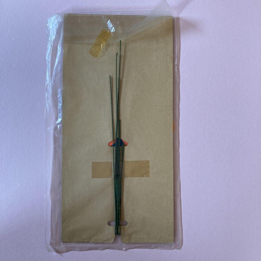 ミュージシャン THE BEATLES FUJIYA