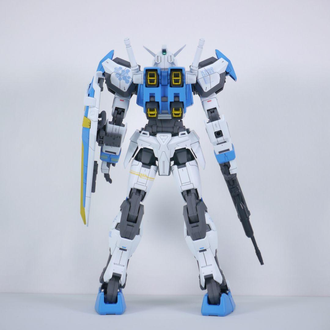 MG デュエルガンダム 塗装 完成品 バンダイ ガンプラ 1/100