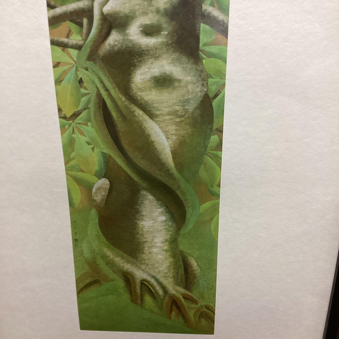 天才画家速水御舟　作品集大作編より　便利堂監修　画集NO 16 【　樹　木　】