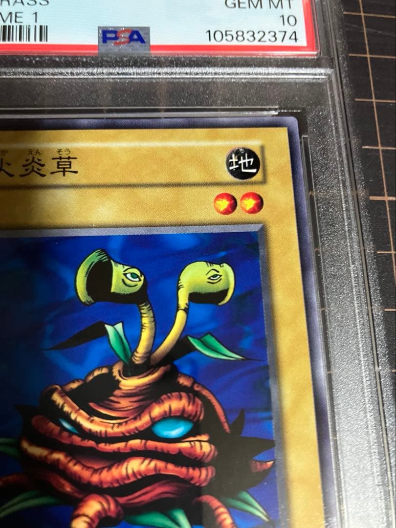 火炎草　PSA10 遊戯王　初期　Vol.1 Firegrass