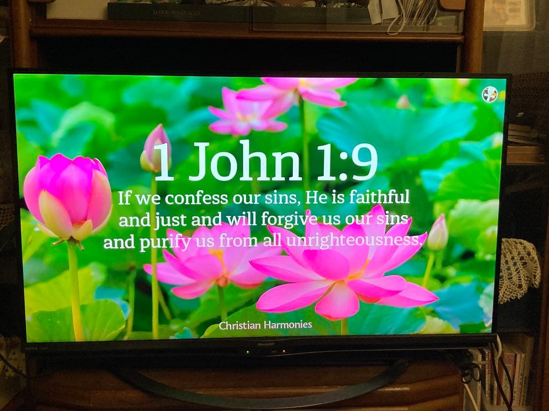 まぁ〜☆4T-C40AJ1