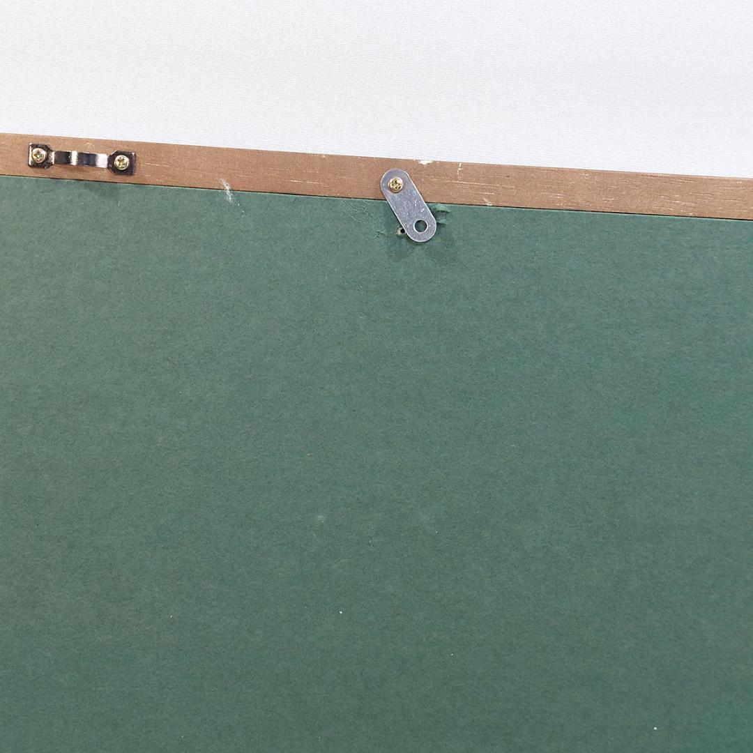 墨彩画? 水彩画? 水墨画?　落款有り 花 額付