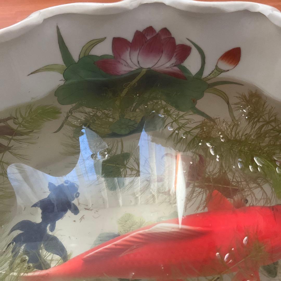 花と果物の装飾 陶器の水鉢、手描き、シノワズリ