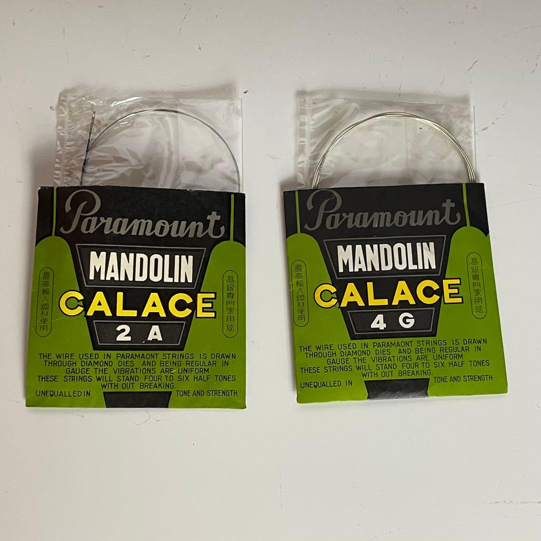 美品　Sofia SM202 マンドリン 寺田楽器 ハードケース付き 即購入OK