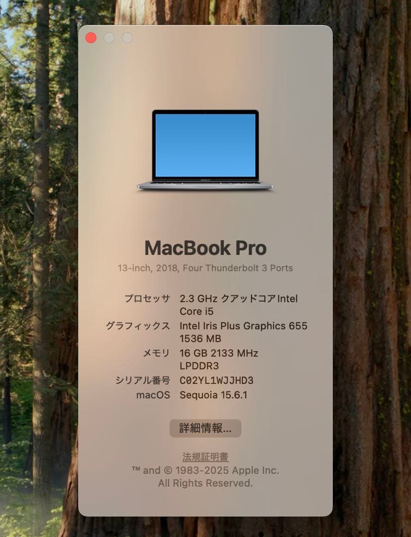 MacBook本体 MacBook Pro 13 2018 Touch Bar i5/16/500