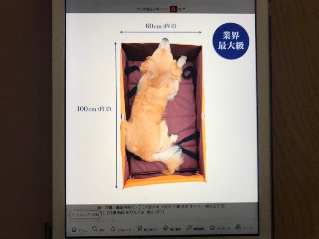 大型犬　ペットカート W76cm D107cm H86cm