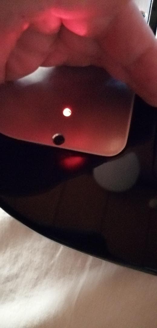 フェルナンデス　18Vサスティナー改　超美品 TEJ 布袋