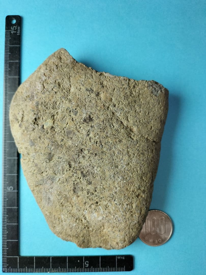 抉り入り磨製石斧? (出土品) 縄文時代前期 ? 約12㌢×9㌢×2㌢です。