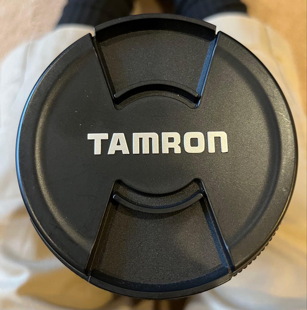 タ*コ様 Tamron 200-500mm f/5-6.3 Di LD超望遠　ニ