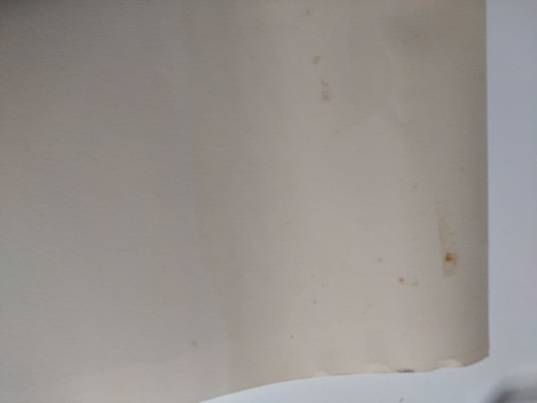 Joan Hernandez Pijuanリトグラフ