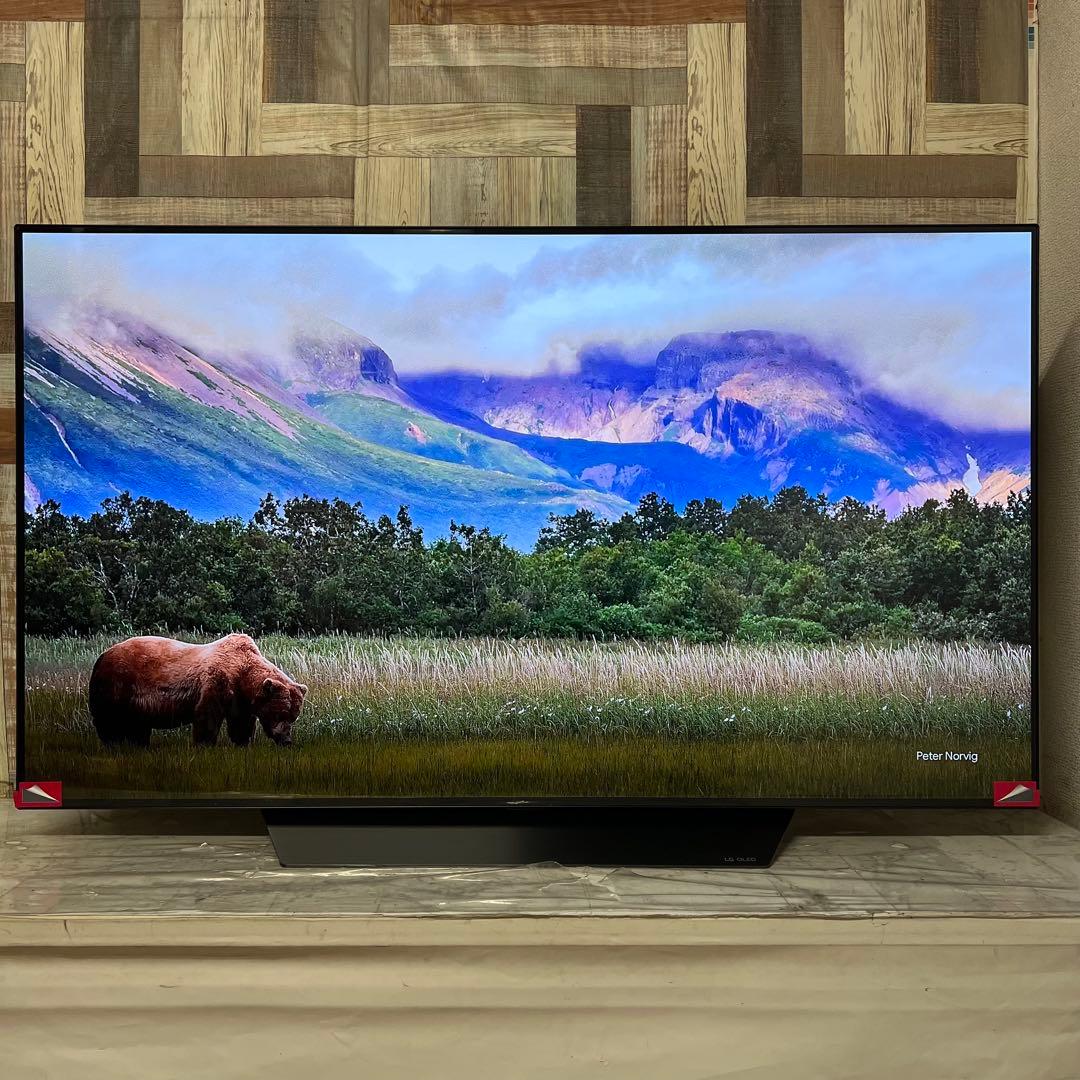 のんさん専用展示アウトレット品全国送料込LG55型有機ELテレビテレビ動画視聴可