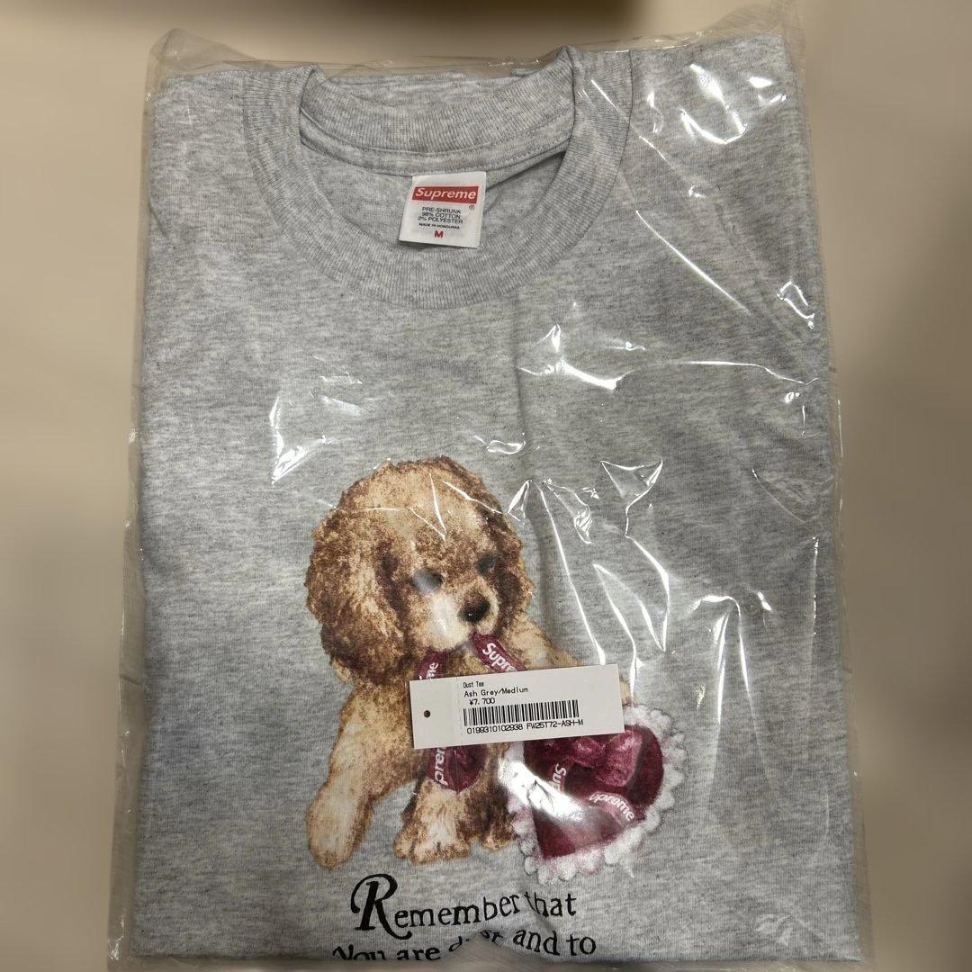 supreme dust tee Ash gray Mサイズ