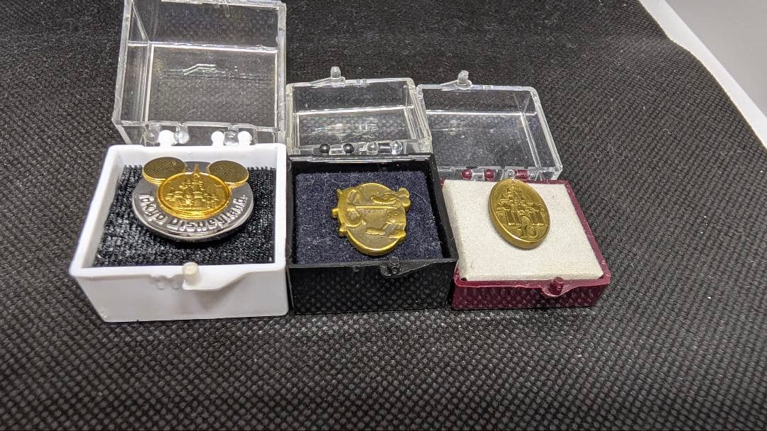 TDL 関係者 キャッスル・勤続1年10年 キャスト ピン セット