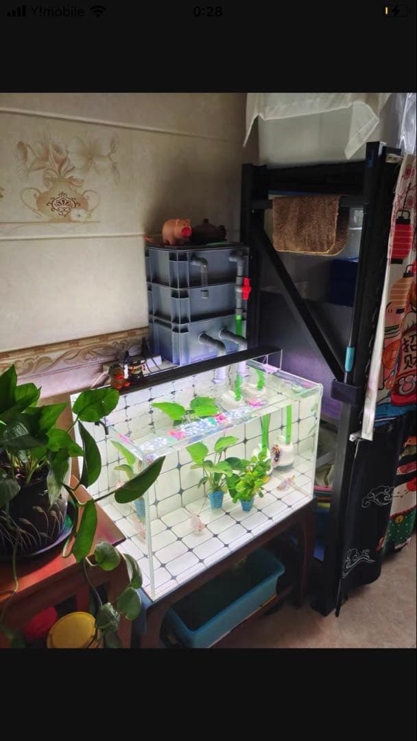 万能濾過ろ材ポンプ付き付きフルセット 水槽池用濾過器フィルター大型水槽濾過装置