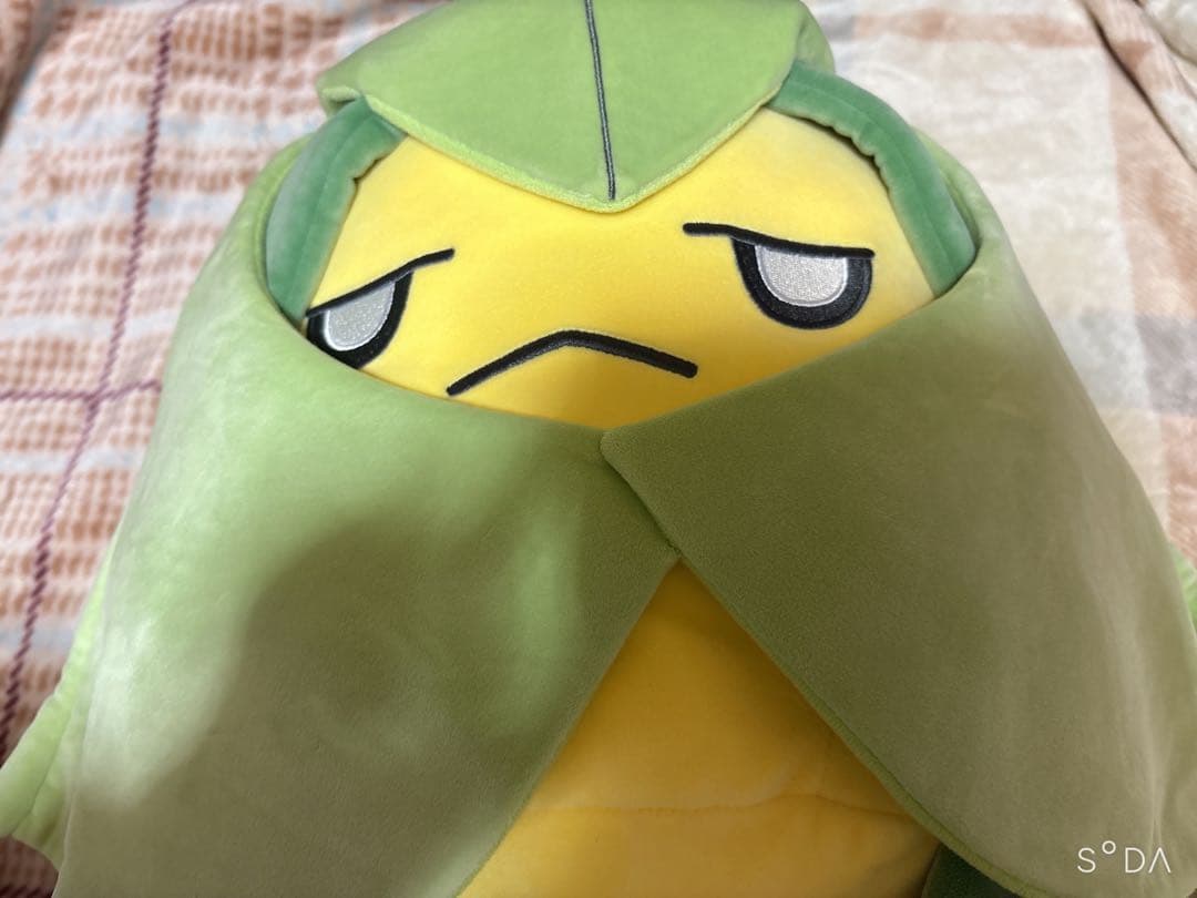 ポケモン もっちりっち クルマユ