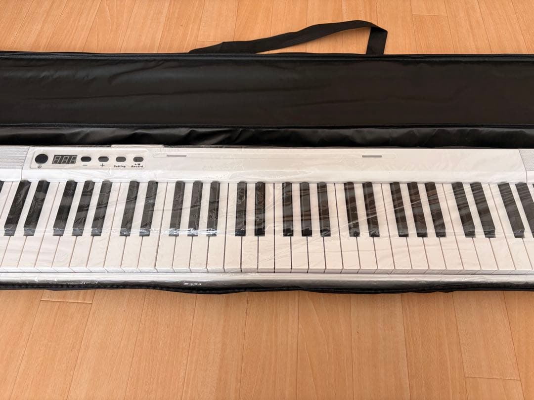 CARINA 電子ピアノ 88鍵盤