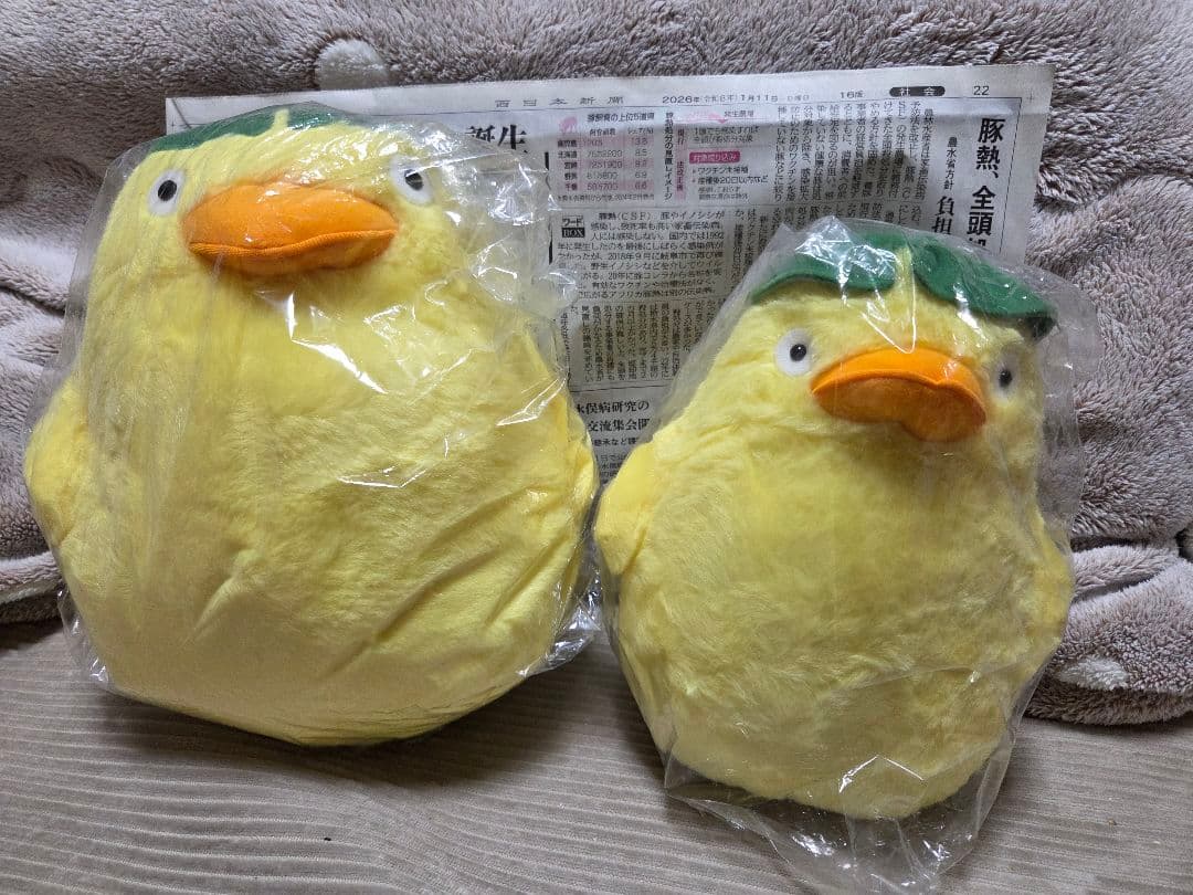 巨大ふわふわオオトリさまぬいぐるみ2個セット