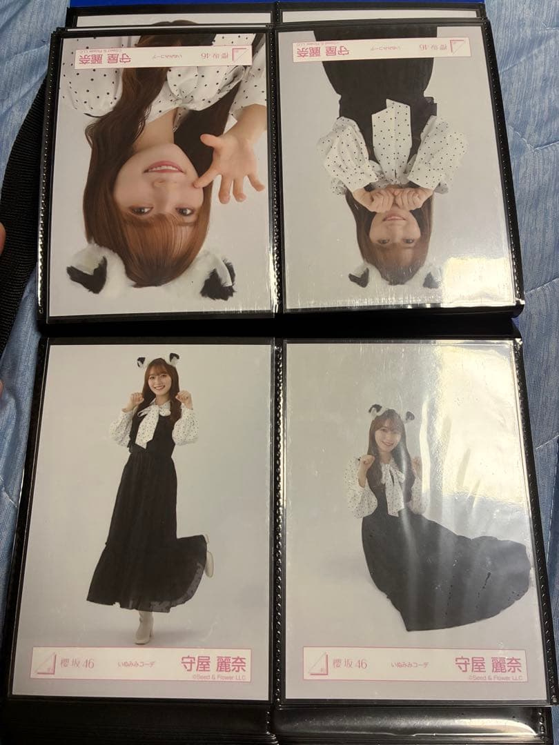 櫻坂46 守屋麗奈 アイドル生写真 コンプセット✖️14