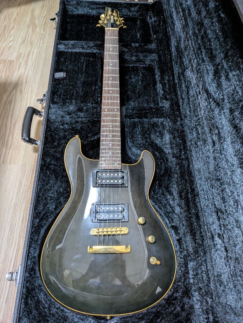 FERNANDES APG 100 24F仕様