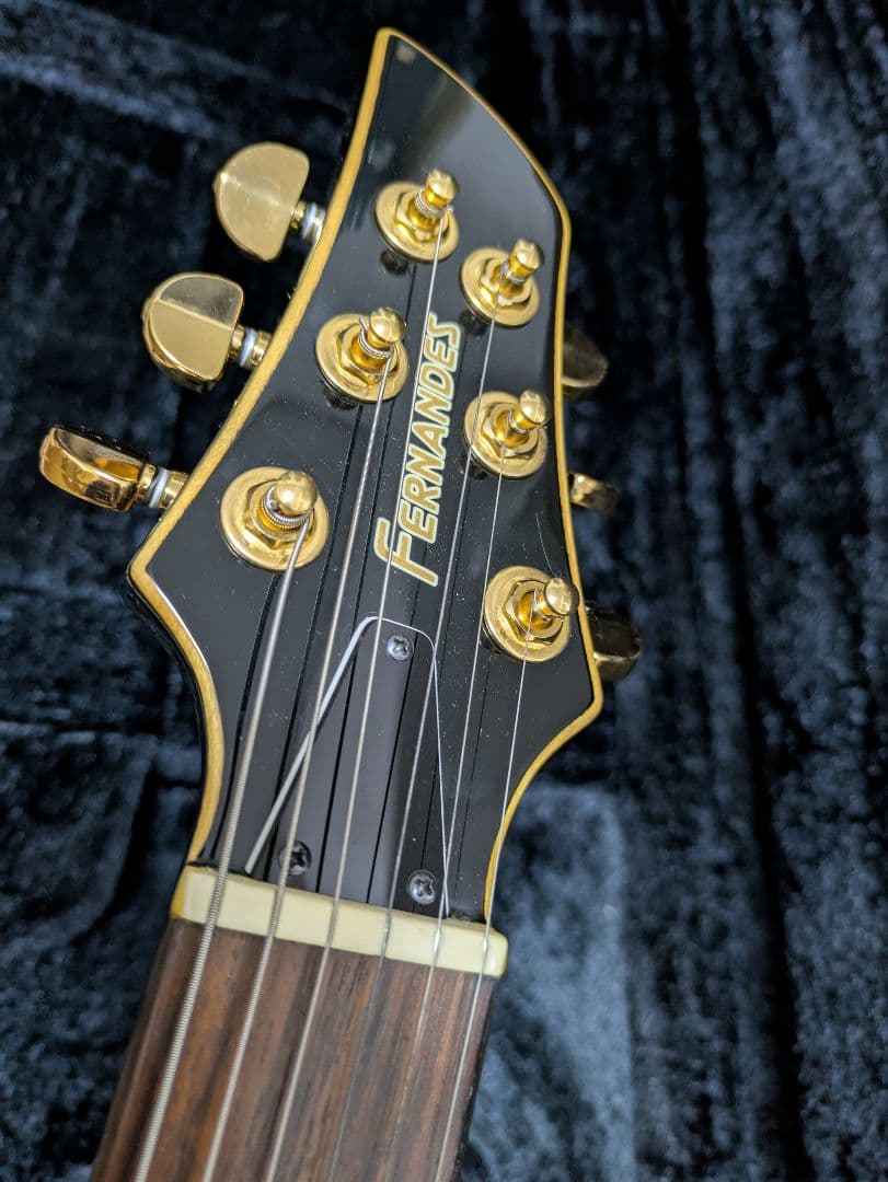 FERNANDES APG 100 24F仕様