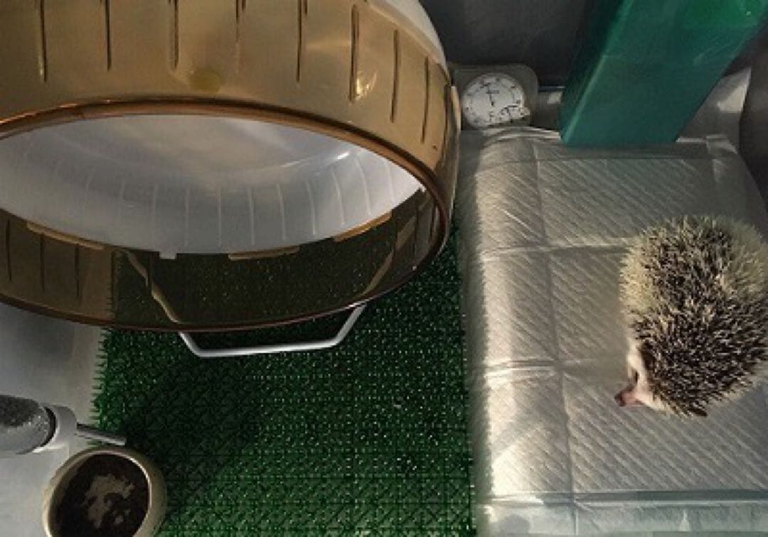 y*a様 ペットの冷房器 PC-200 ペルチェ素子 冷暖房切り替えプレート