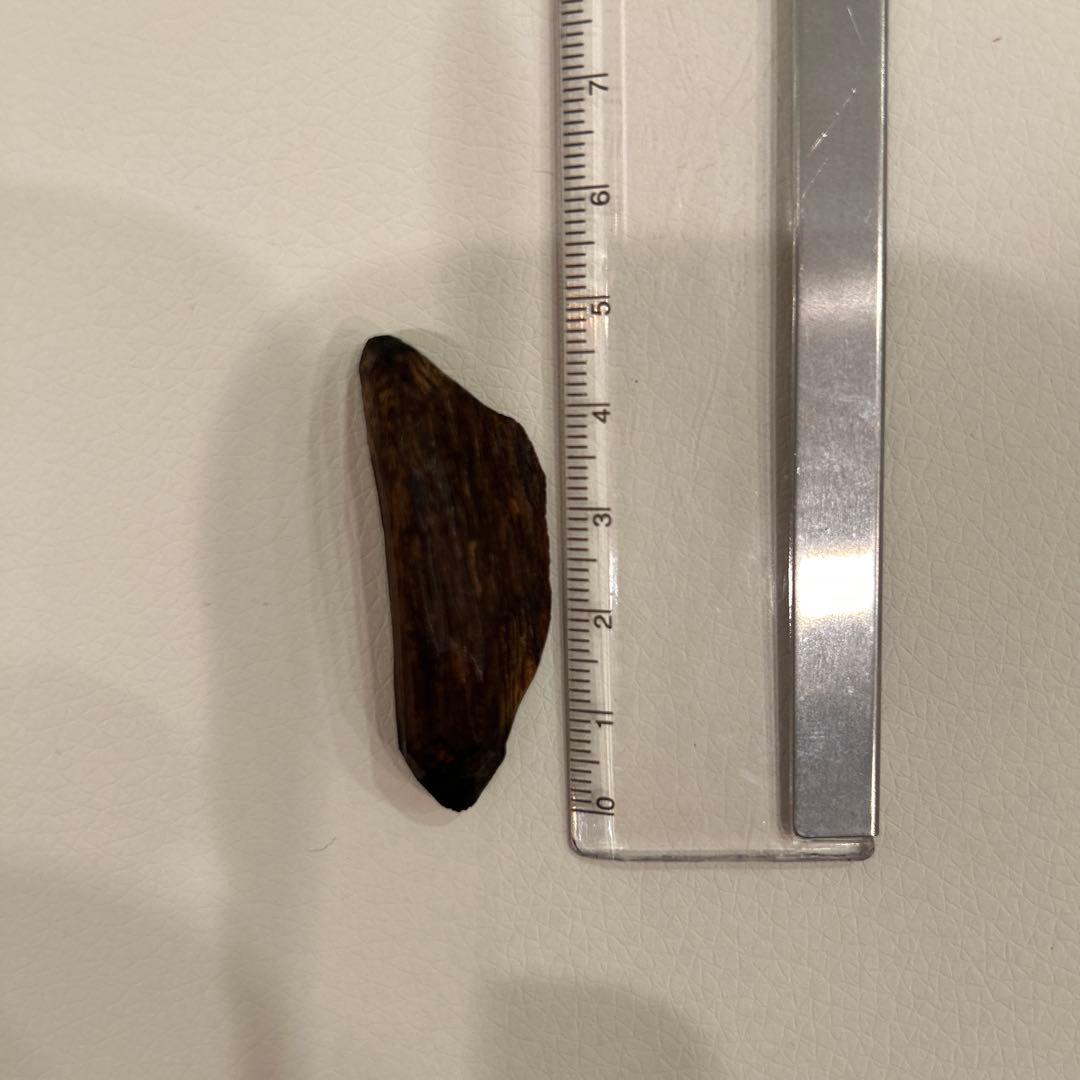 【希少】香木　伽羅香