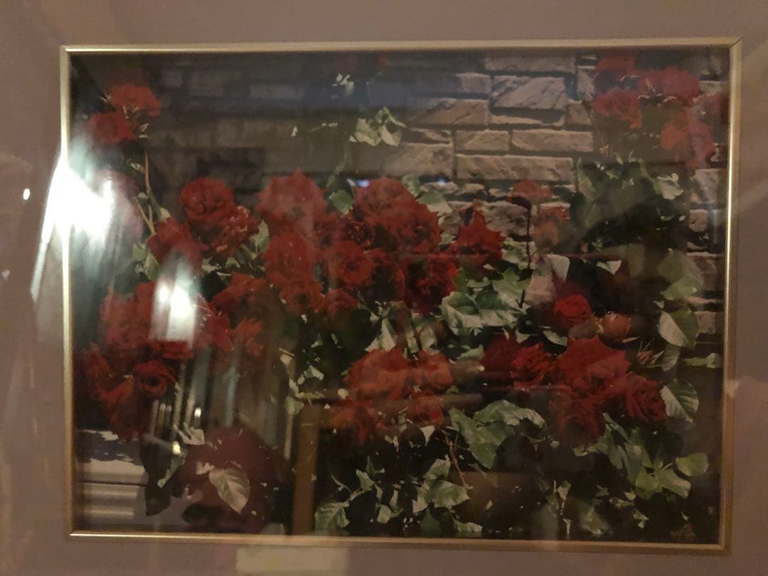 写真家　宮下利光のフォトアート　一眼レフカメラで撮った作品