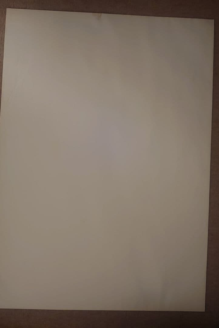 ま*あ様 松嶋菜々子 旭化成 特大 水着ポスター B1②