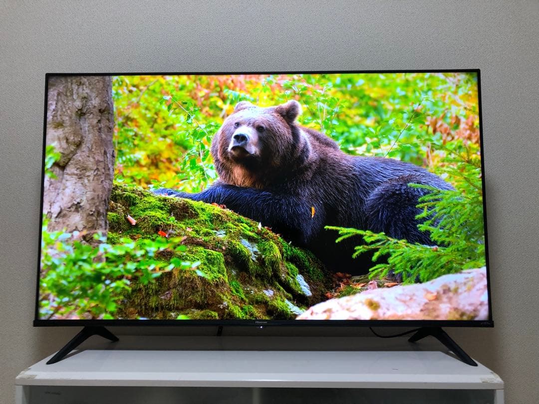 ハイセンス 50V型 液晶テレビ 4Kチューナー内蔵 50E6G 2023年製