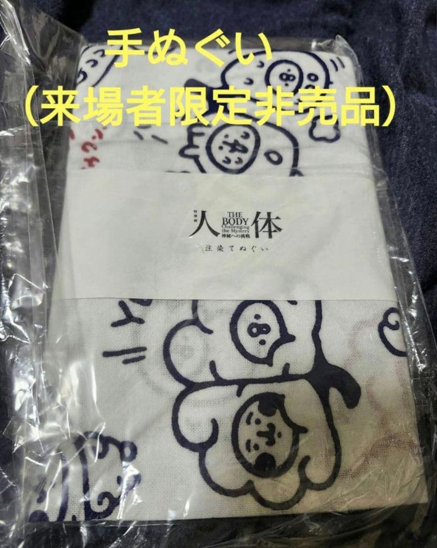 ★新品未開封激レア 会場限定（非売品含む)グッズ21点セットカナヘイ人体展