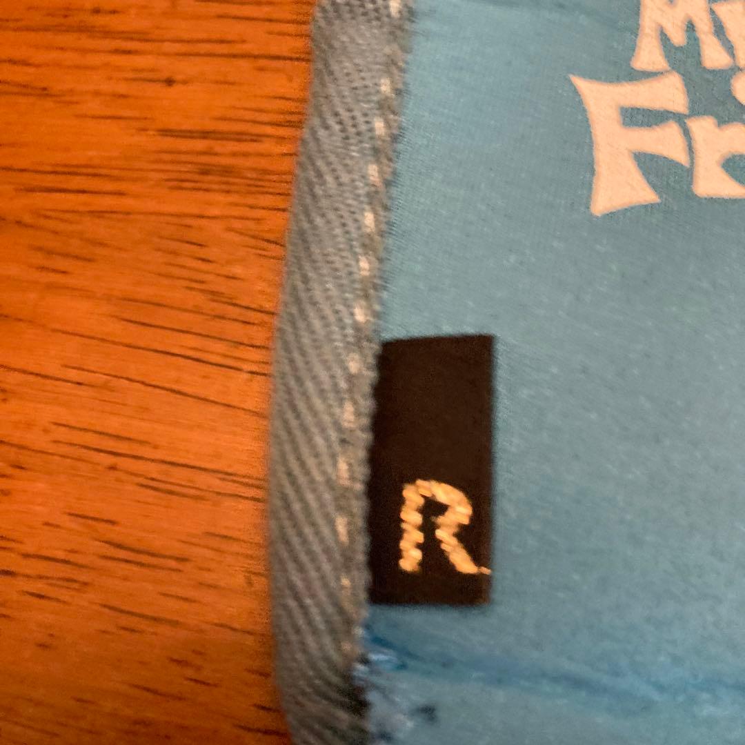 ミスターフレンドリー　ネオプレン伸縮素材　ボトルケース　スマホにも　水色　青木